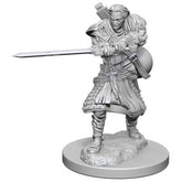 Nolzur's Marvelous Miniatures - Human Male Bard